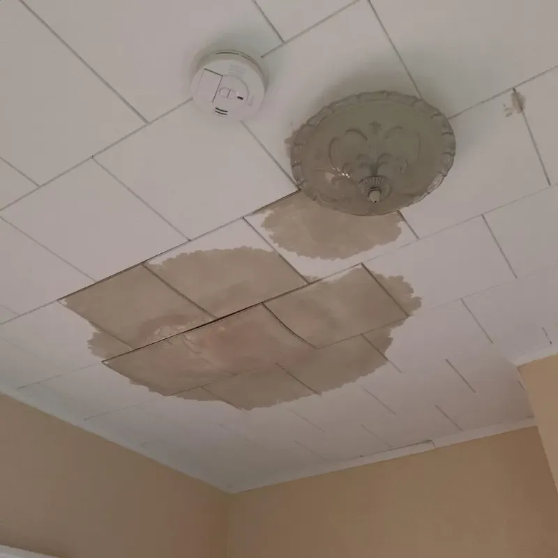 Ceiling Water Damage Repair in Broadview Park, FL